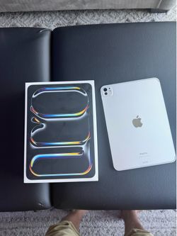 iPad 11 Pro 256g