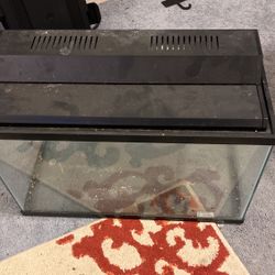 10 Or 20g Fish tank With Cover Light 