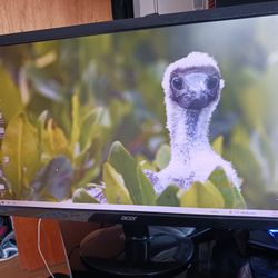 ACER 23" Computer Monitor 