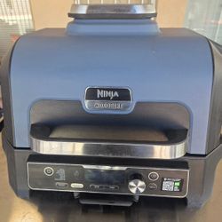 Ninja Woodfire Pro XL Outdoor Grill and Smoker