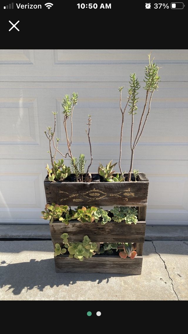 Wood Pallet Planter🌿