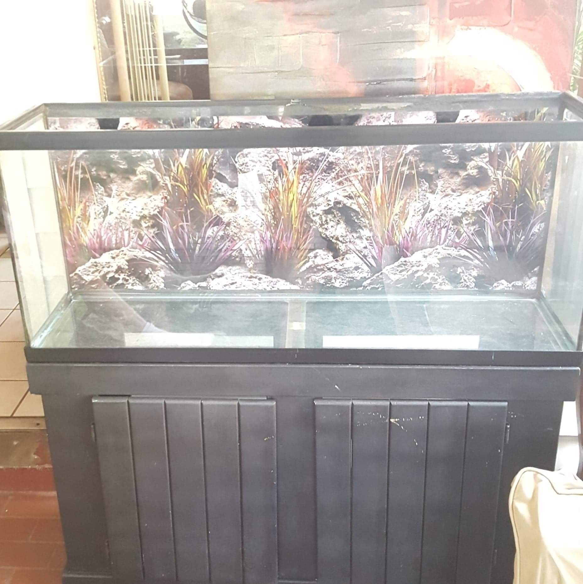 55 gallon fish tank w/ stand