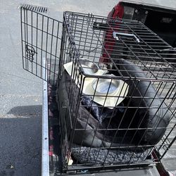 Dog crate and more stuff inside