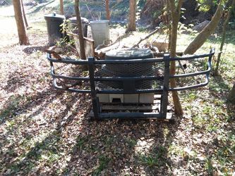 Brushguard
