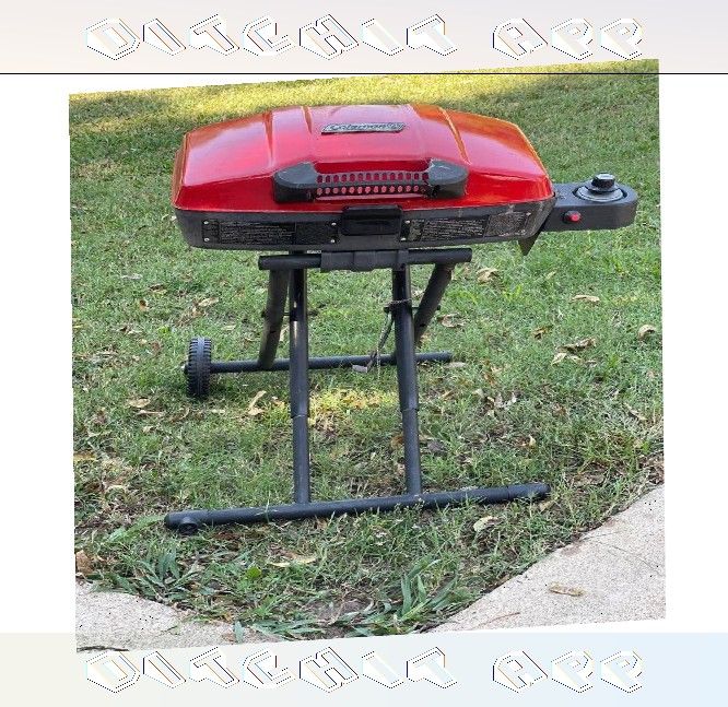 on foreign Travel BBQ Grill - Cook Anywhere, Anytime with Simple Setup