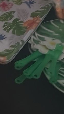 Green Palm Leaf Paper Fans