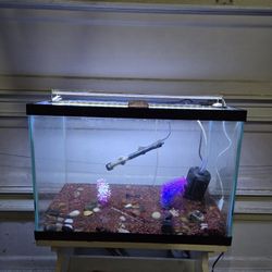 20 Gallon Aquarium Fish Fank Set
