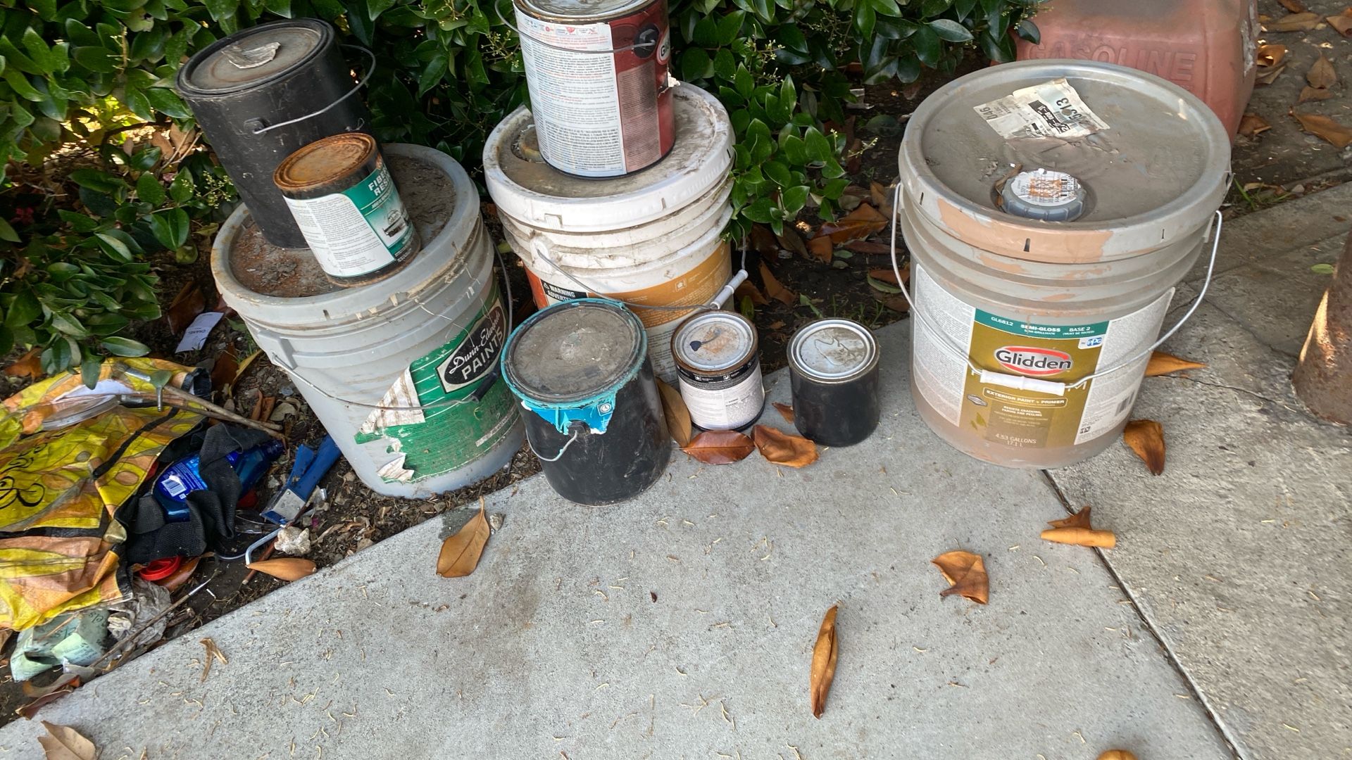 Free Paint