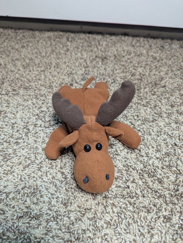 Moose Beanie Stuffed Animal