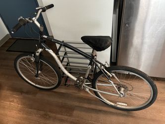 schwinn skyliner bike