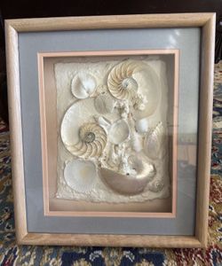 Sea Shell Wall Art