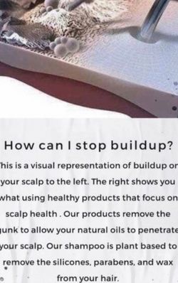 Vegan Hair, Skin And Wellness Products