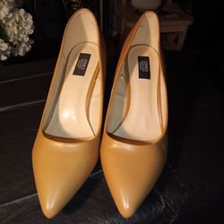 JONES NEW YORK TAN COLOR SIZE 10W