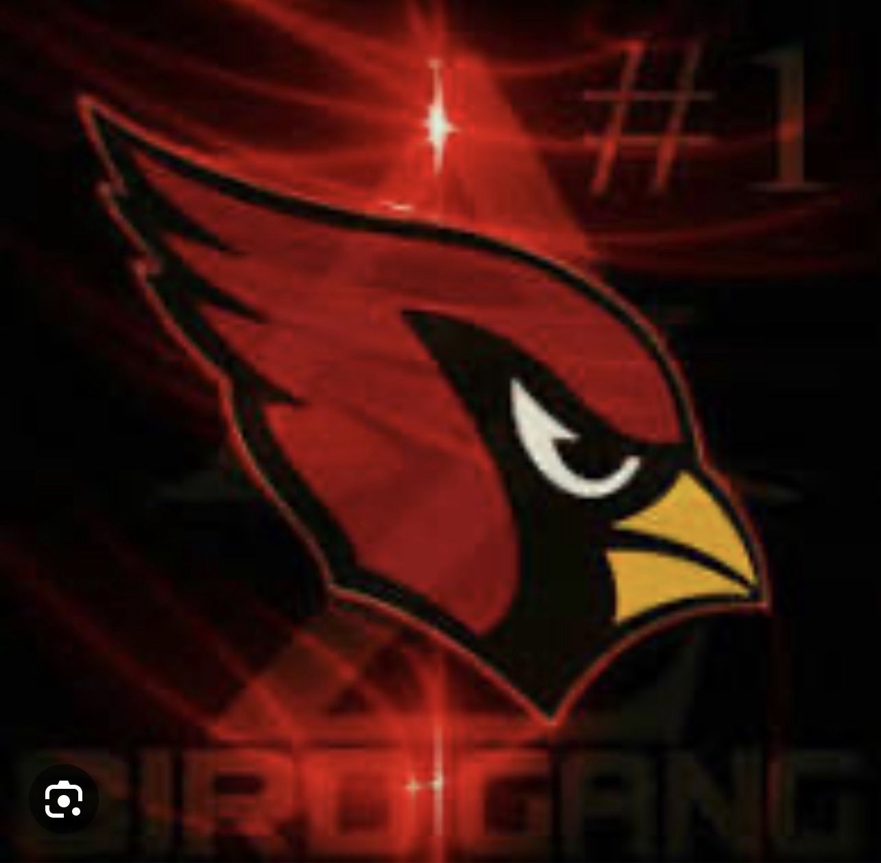 CARDINALS vs RAMS - 4 Seats Lower + Parking Pass Orange West Side Great Lawn by Heritage Park