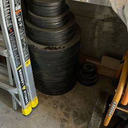 Weight Lifting plates Rogue