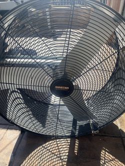 Fan