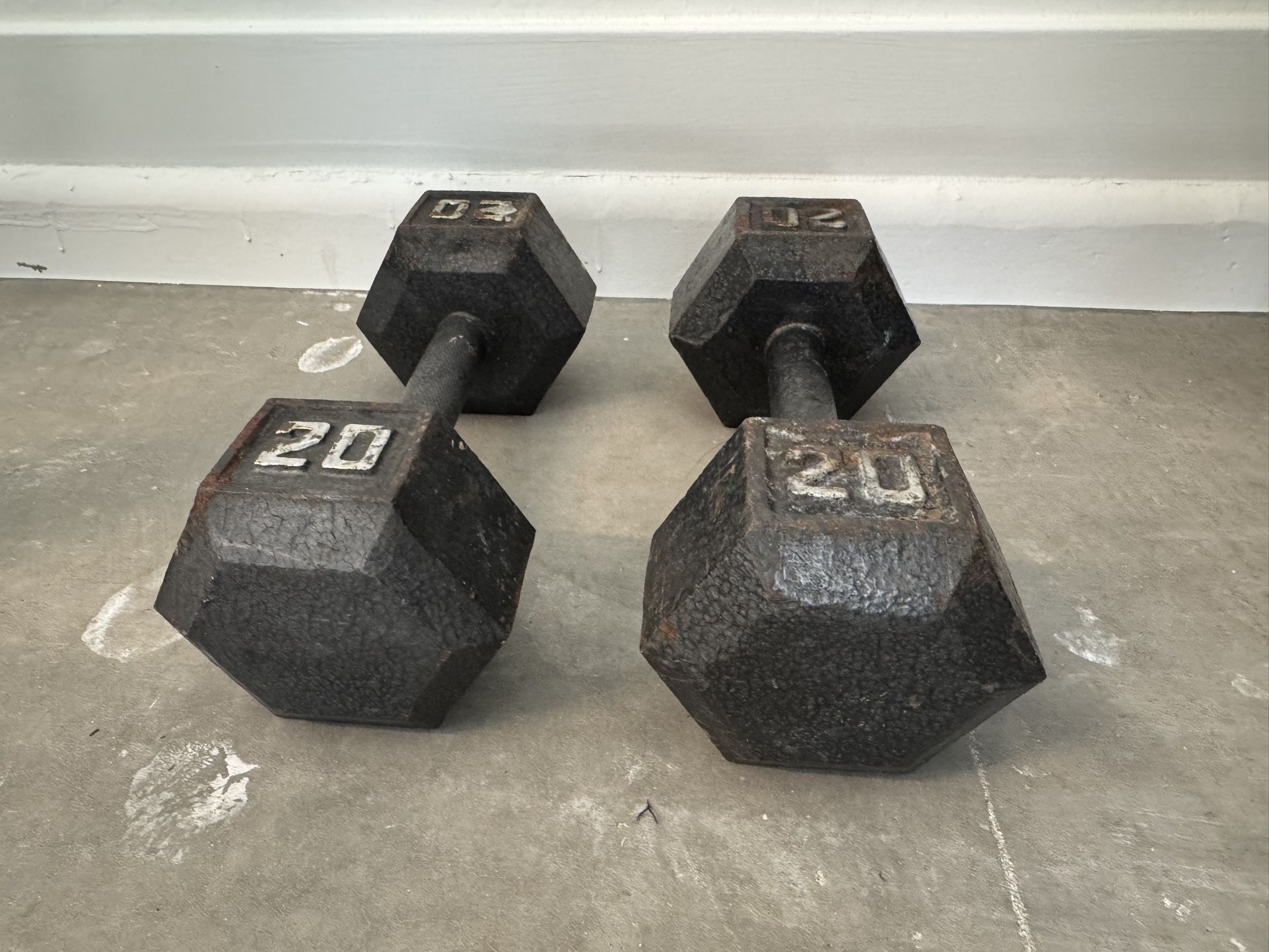 20lb Dumbbell Weights for Exercise