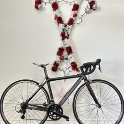 Orbea Aqua | X-Small / 47CM | Road Bike