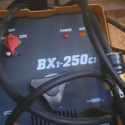 BX1-250C1 Welder