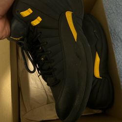 Jordan 12