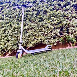 NineBot eKick Scooter ZING 10