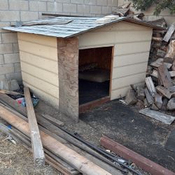 Dog House
