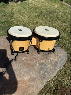 Bongo