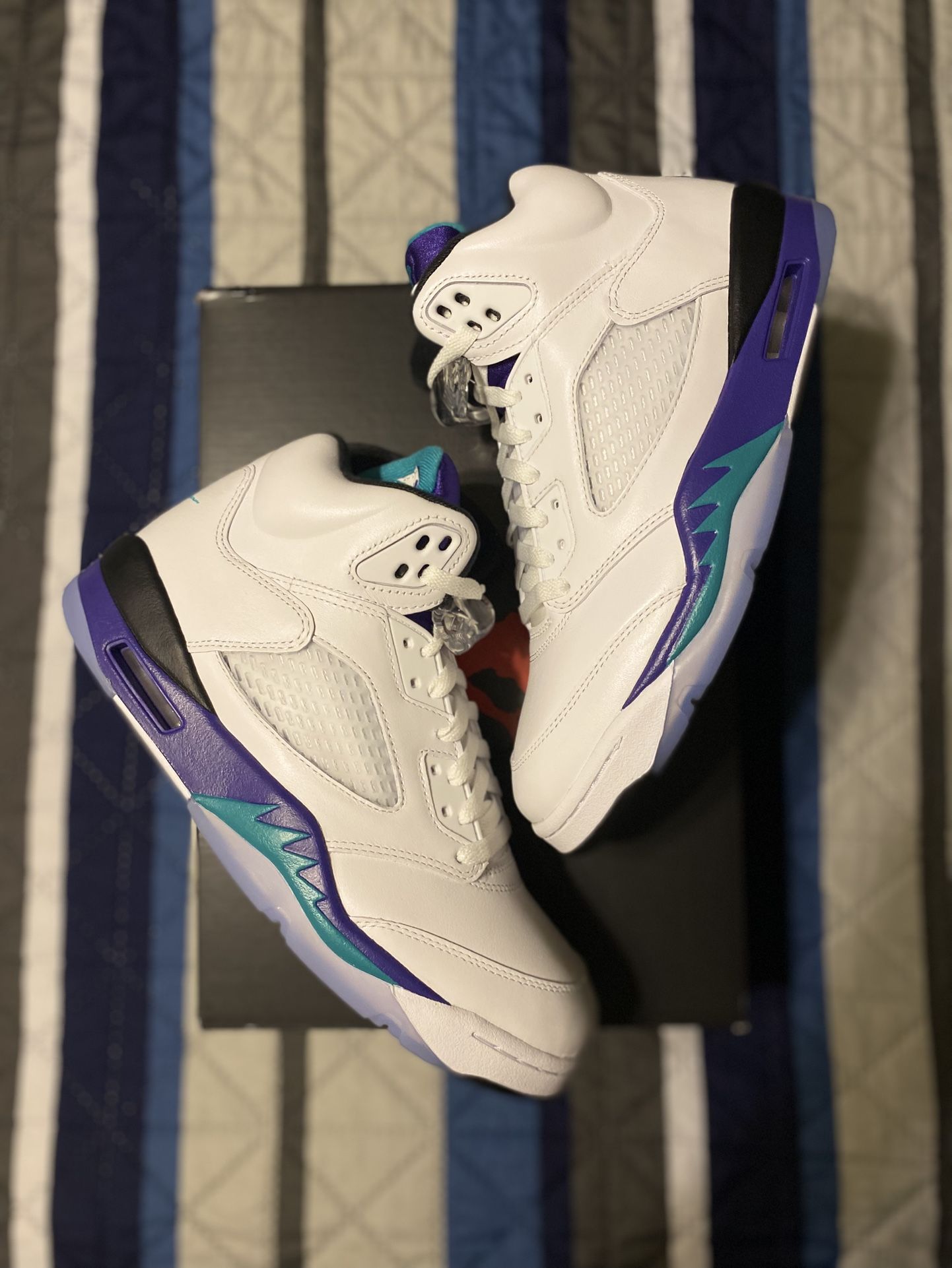 Jordan Retro 5 "Grape" Size 9.5