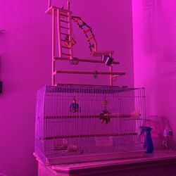 Bird Cage / Play Ground / Food