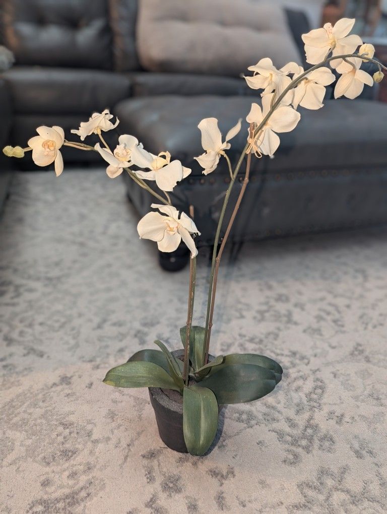 Fake White orchid flower Pot