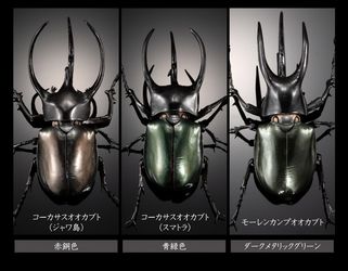 BANDAI Gashapon Beetle Dynastes satanas Completed Figure 3 Set 110mm