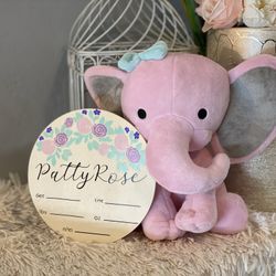 Birth Announcement Wood Sign 