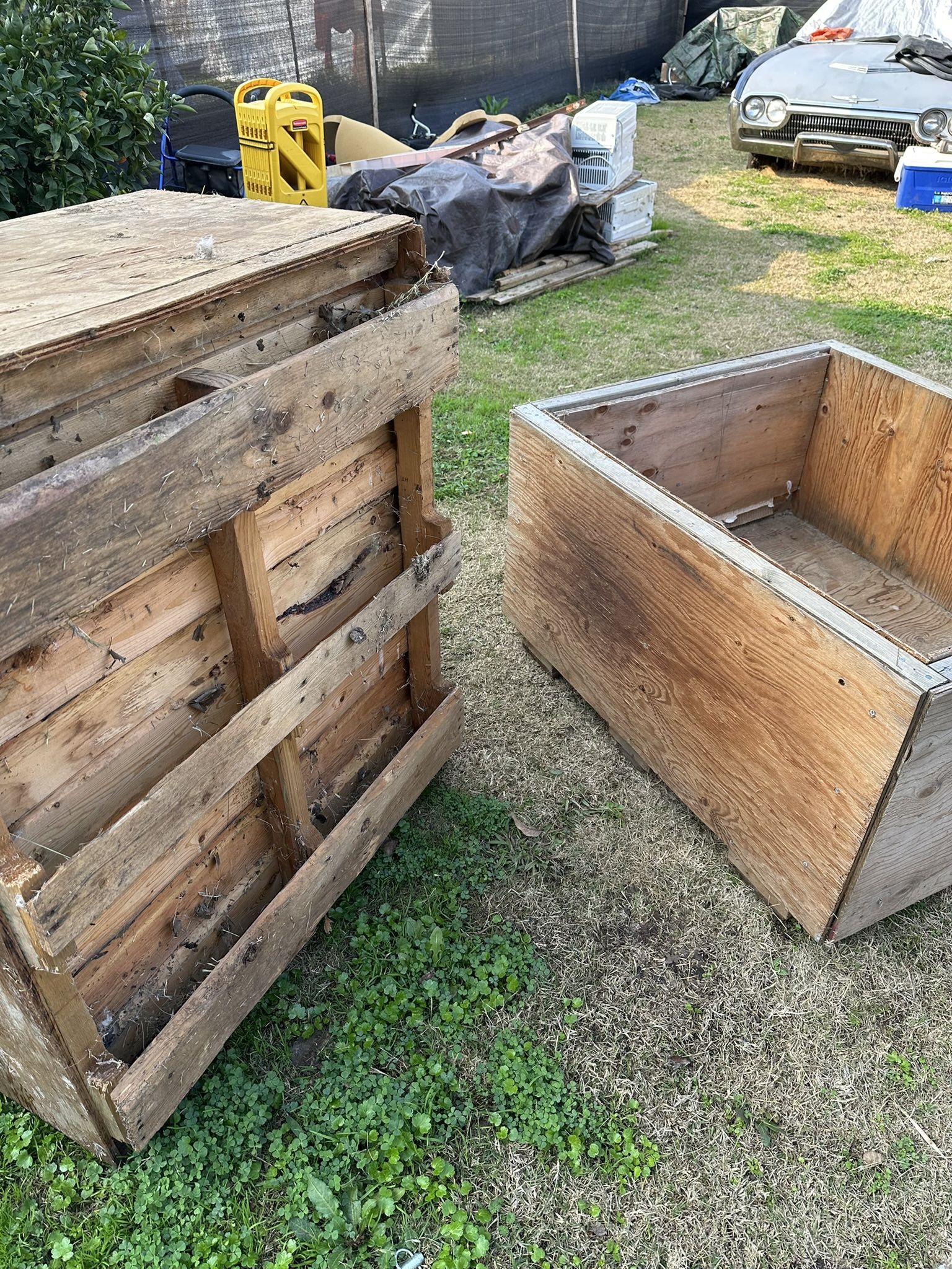 Dog Houses