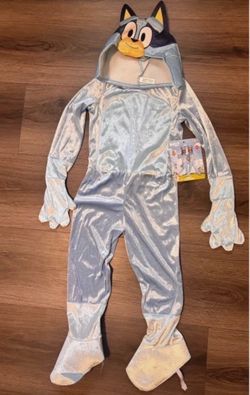 Bluey costume