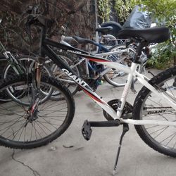 Giants Montana 26" Pulgadas. 21 Speed 