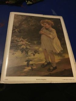 1990 Bluebird of Happiness poster