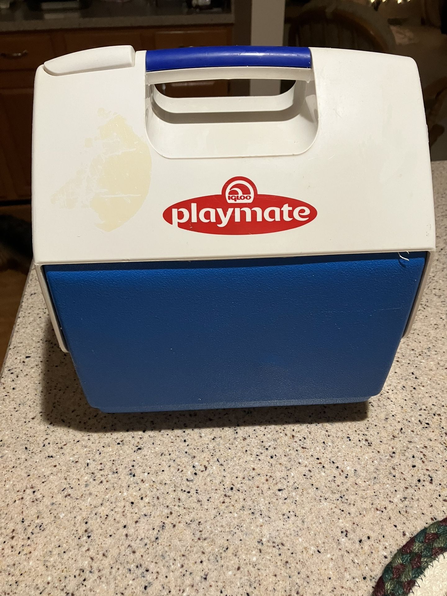 Small Playmate Cooler