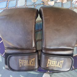 Everlast Womens Boxing Gloves