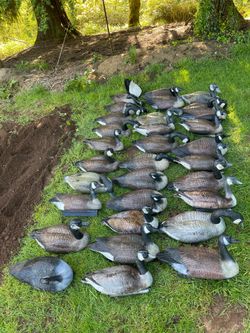 32 goose floaters