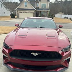 Mustang 2019, With Miles 59k 