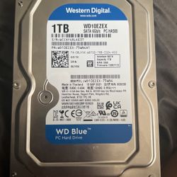 Wd10EZEX 1TB HHD