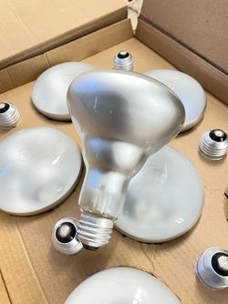 Light bulb 65w flood medium base 120V
