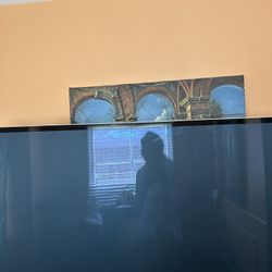 Panasonic 3D TV 48inch