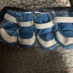Blue Dog Shoes Size Medium