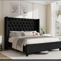 Queen Sized Upholstered Bed 