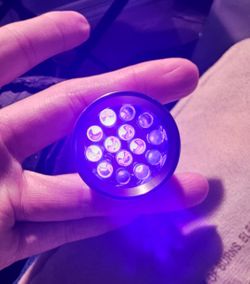 🦂 Scorpion Finder