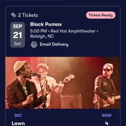 Black Pumas Lawn Tickets: 2 for $85