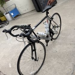 Toad Bike 