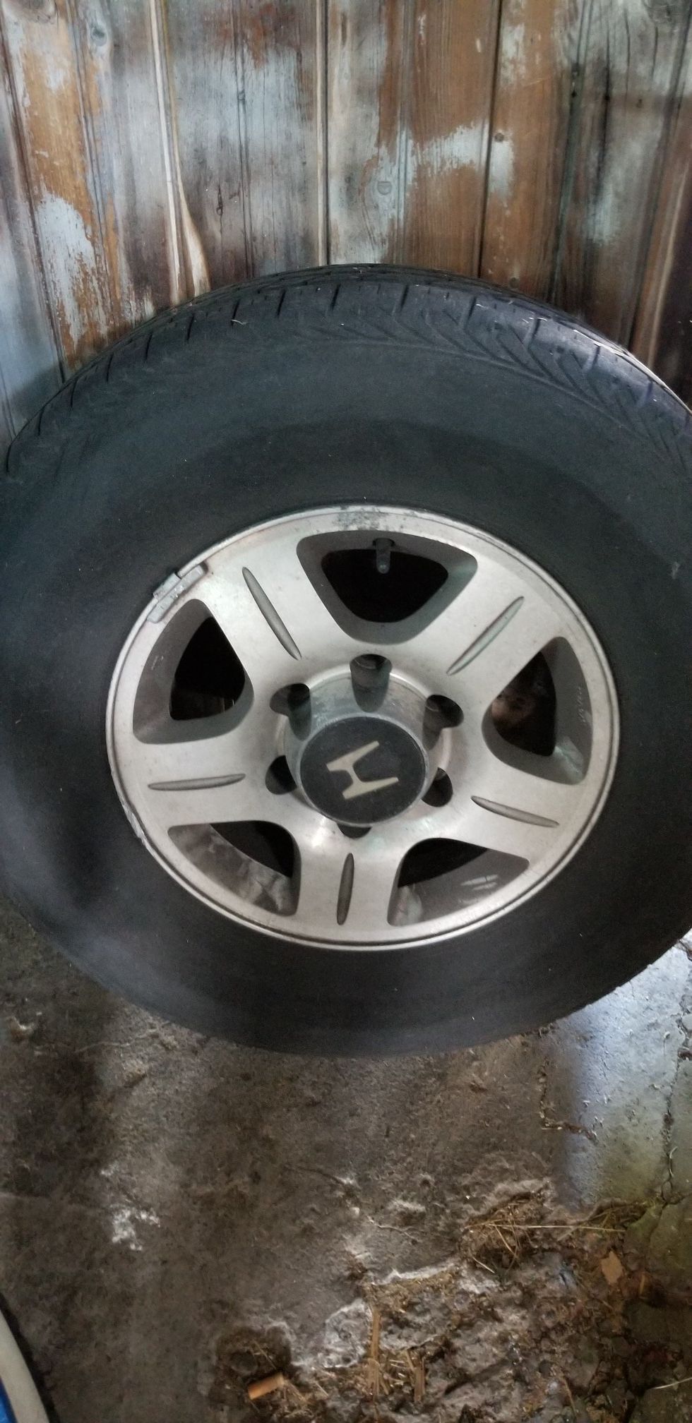 Honda passport wheel