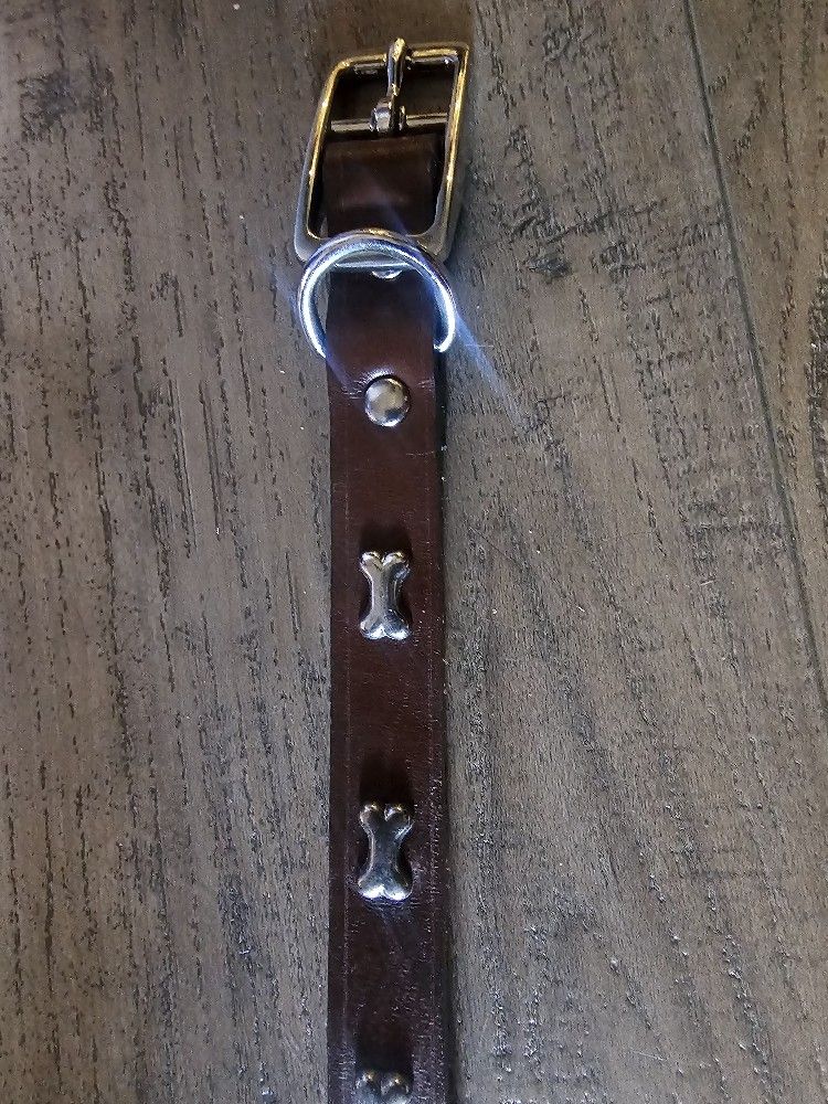 Dog Collar